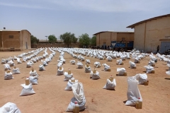 asaf-organizasyon-mali-34